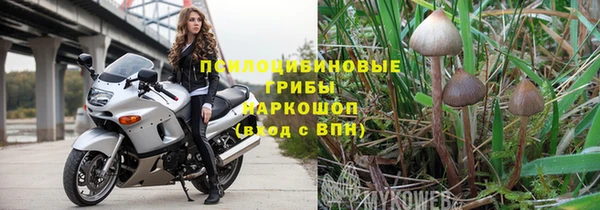эйфоретик Алексеевка