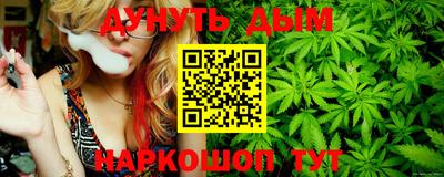 Альфа ПВП Ростов-на-Дону