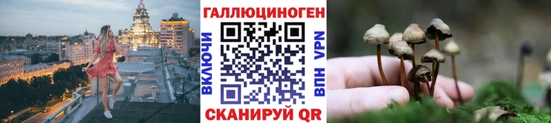 Псилоцибиновые грибы прущие грибы  Беслан 
