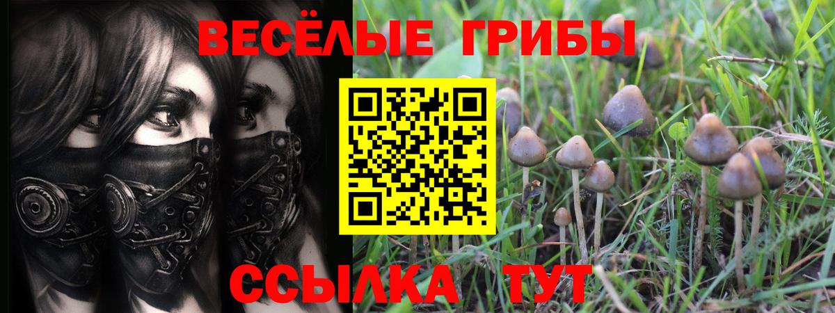 Галлюциногенные грибы GOLDEN TEACHER Беслан