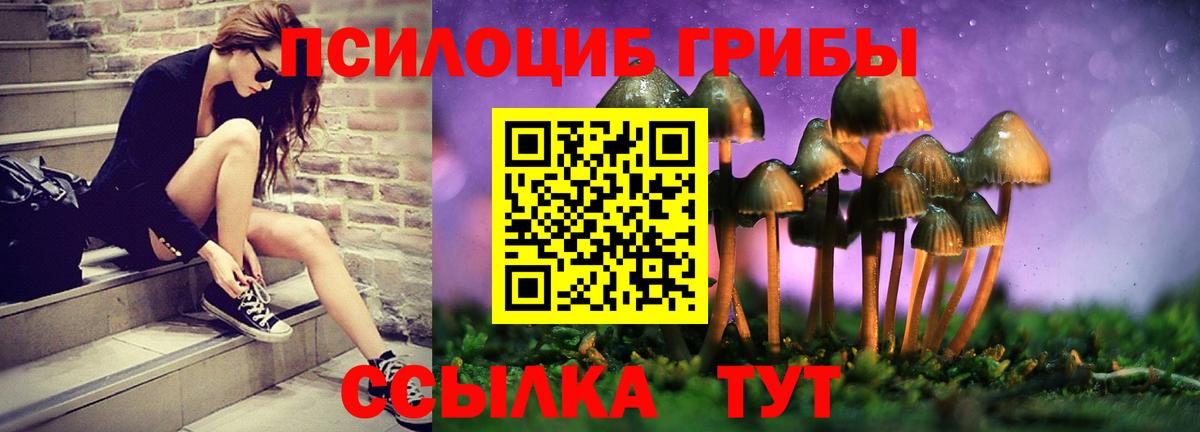 Беслан  сколько стоит  Вход с VPN  Галлюциногенные грибы Cubensis 