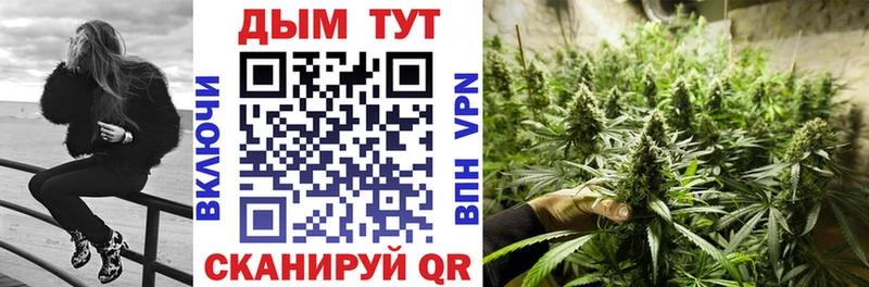 Канабис план  ОМГ ОМГ ТОР  Беслан 